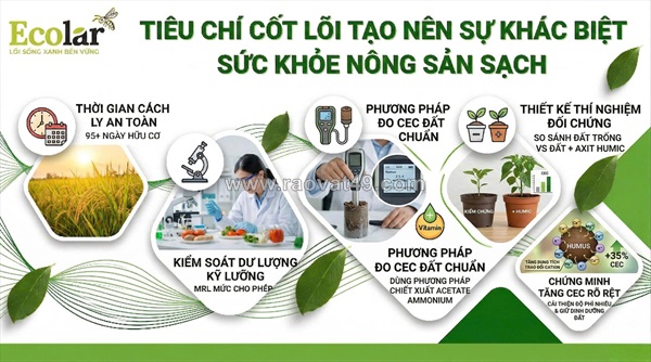 Giải mã khả năng giữ dinh dưỡng của đất: tác động tuyệt vời từ phân bón hữu cơ humic