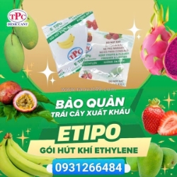 Gói chống chín trái cây (hút khí ethylene) l