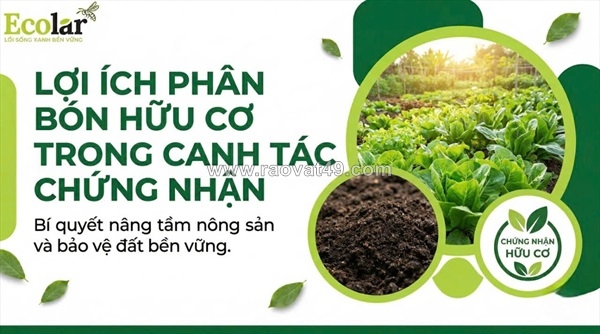 ~/Img/2026/4/hanh-trinh-vuon-toi-nong-nghiep-sach-phan-bon-huu-co-va-chia-khoa-giai-ma-cac-tieu-chuan-chung-nhan-01.jpg