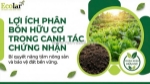 Hành trình vươn tới nông nghiệp sạch: phân bón hữu cơ và chìa khóa giải mã các tiêu chuẩn chứng nhận