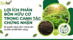Hành trình vươn tới nông nghiệp sạch: phân bón hữu cơ và chìa khóa giải mã các tiêu chuẩn chứng nhận