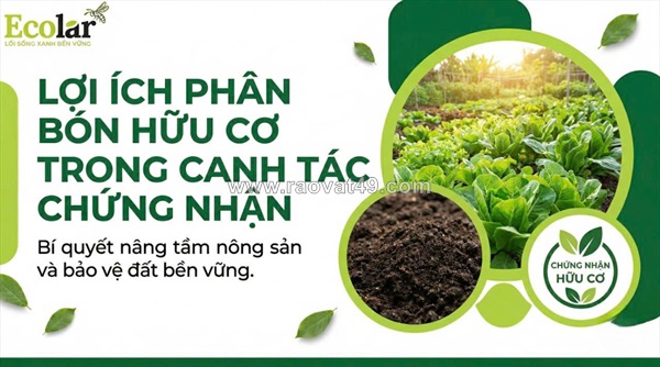 Hành trình vươn tới nông nghiệp sạch: phân bón hữu cơ và chìa khóa giải mã các tiêu chuẩn chứng nhận