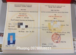 Học vận tải online – nhận cc nhanh chóng