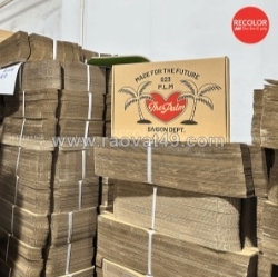 Hộp carton đóng hàng – giải pháp tối ưu trong ngành logistics