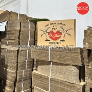 Hộp carton đóng hàng – giải pháp tối ưu trong ngành logistics