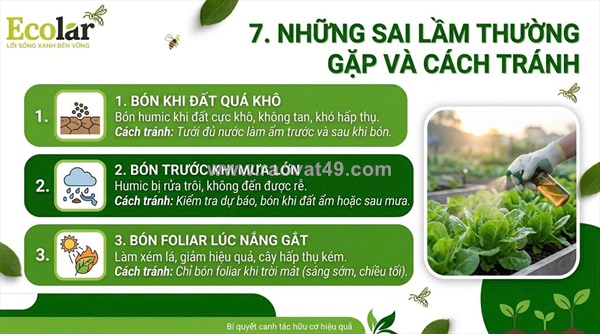 Hướng dẫn chi tiết thời điểm sử dụng phân bón hữu cơ humic để cây trồng bứt phá mạnh mẽ