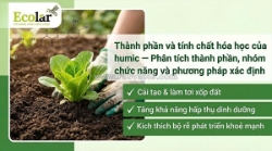 Khám phá nền tảng hóa học của humic trong phân bón hữu cơ dành cho người mới bắt đầu