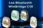 Loa bluetooth winbridge c10