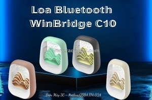 Loa bluetooth winbridge c10