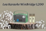 Loa karaoke winbridge l200