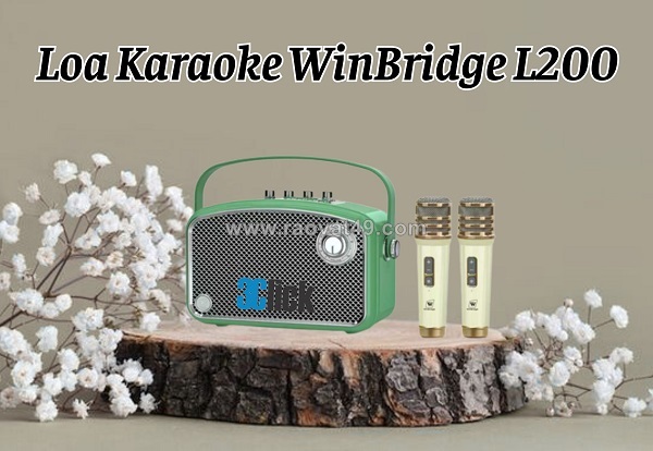 Loa karaoke winbridge l200