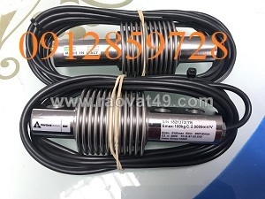 Loadcell -cảm biến trọng lượng  pavone bbf-100kg, xuất xứ italy