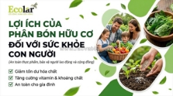 Lợi ích của phân bón hữu cơ: bảo vệ sức khỏe con người và cộng đồng