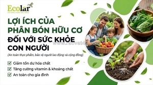 Lợi ích của phân bón hữu cơ: bảo vệ sức khỏe con người và cộng đồng