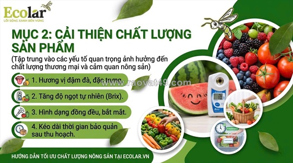 Lợi ích của phân bón hữu cơ cho rau màu: 7 giá trị thực tế và cách đo lường hiệu quả ngay tại vườn