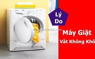 Máy giặt vắt không khô - giải pháp xử lý nhanh, tiết kiệm chi phí