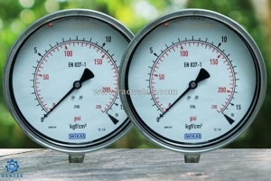 Mua đồng hồ áp suất wika 232.50 ở đâu? dantek phân phối toàn quốc, giá tốt, giao nhanh