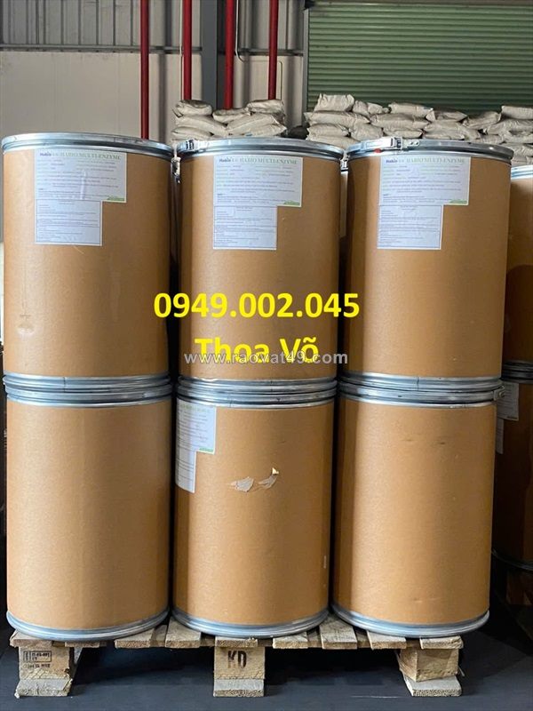 Multi-enzyme – nong to đường ruột, tăng hấp thu, xử lý nước & đáy ao nuôi hiệu quả toàn diện