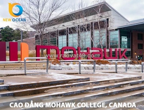 New ocean - đơn vị cung cấp dịch vụ tư vấn du học canada uy tín