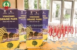 Ngàn thông- biến những ý tưởng trên giấy thành những khoảnh khắc rực rỡ ngoài đời