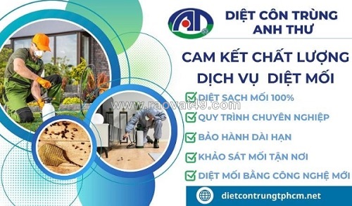 Nguyên nhân khiến mối dễ phát triển trong môi trường sống
