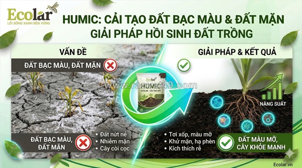 Phân bón hữu cơ chứa humic: chìa khóa phục hồi sinh khí cho đất bạc màu và đất mặn