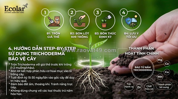 Phân bón hữu cơ chứa nấm đối kháng trichoderma: cơ chế phòng bệnh nấm đất và cách dùng chi tiết