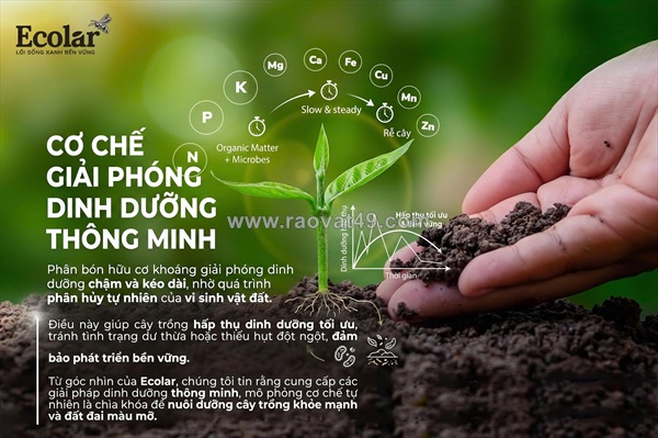 Phân bón hữu cơ sinh học dạng lỏng và dạng rắn: cẩm nang toàn tập cho người mới bắt đầu