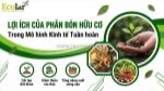 Phân bón hữu cơ trong kinh tế tuần hoàn: tái sinh tài nguyên hiệu quả
