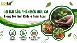 Phân bón hữu cơ trong kinh tế tuần hoàn: tái sinh tài nguyên hiệu quả