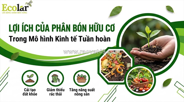 Phân bón hữu cơ và vai trò cốt lõi trong nền kinh tế tuần hoàn: giải pháp bền vững cho tương lai