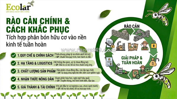 Phân bón hữu cơ và vai trò cốt lõi trong nền kinh tế tuần hoàn: giải pháp bền vững cho tương lai