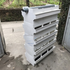 Tại sao cá của bạn chết dần mà không rõ lý do?