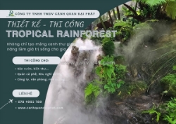 Thi công sân vườn nhiệt đới tiểu cảnh bán cạn, vivarium, paludarium xu hướng 2026