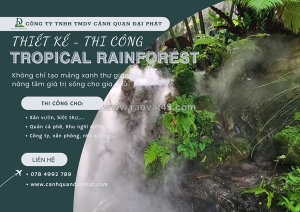 Thi công sân vườn nhiệt đới tiểu cảnh bán cạn, vivarium, paludarium xu hướng 2026