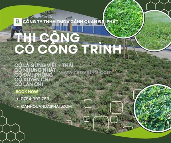 ~/Img/2026/4/trong-co-cong-trinh-kcn-binh-duong-thi-cong-nhanh-gia-tot-01.jpg