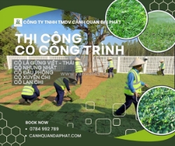 Trồng cỏ nhung nhật – kcn long thành, đồng nai