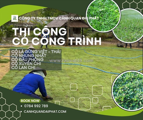 Trồng cỏ nhung nhật – kcn long thành, đồng nai
