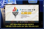 Việt nam đăng cai giải esports “cấp đội tuyển quốc gia” đầu tiên khu vực!