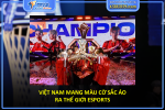 Việt nam mang màu cờ sắc áo ra thế giới esports