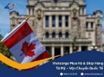 Vietcargo – công ty vận chuyển hàng canada chuyên nghiệp với nhiều năm kinh nghiệm