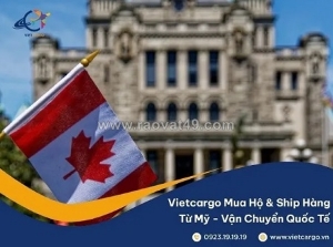Vietcargo - hỗ trợ kiểm tra mã postal code canada nhanh chuyên nghiệp