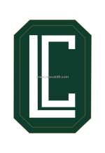 Vòng đá phong thủy mệnh mộc: top 10 mẫu kích lộc