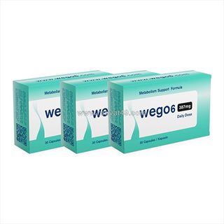 Wego 6 review: everything you need to know before buying