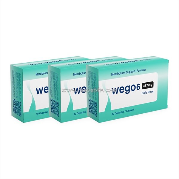 Wego 6 review: everything you need to know before buying
