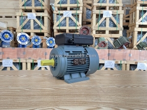 🎬 trải nghiệm tận mắt qua video động cơ điện thực tế tại thành thái motor! ⚡