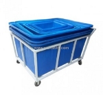 5 lợi ích khi sử dụng thùng chữ nhật 100l 2000l để nuôi cá