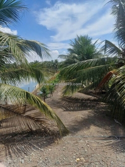 Bán đất xã bình lợi - bình chánh, 10.387m2 sẵn 2 sổ hồng chỉ 2 tỷ/1000m2. lh:0978435476