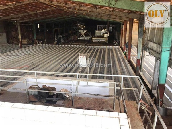 Bán nhà máy chế biến mủ cao su – mặt tiền đt741, bình phước – 20.000m²