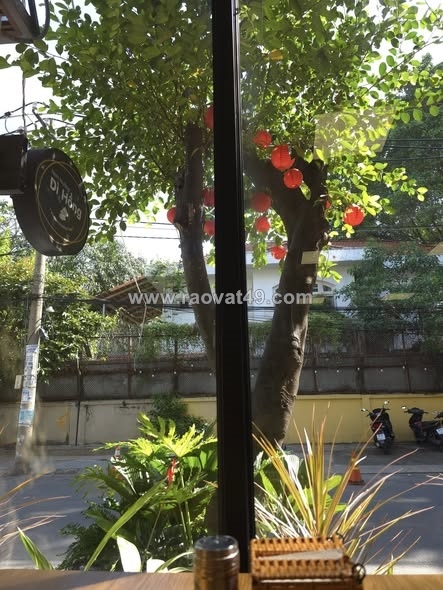 ~/Img/2026/5/bao-com-phu-bep-phuc-vu-o-thao-dien-02.jpg